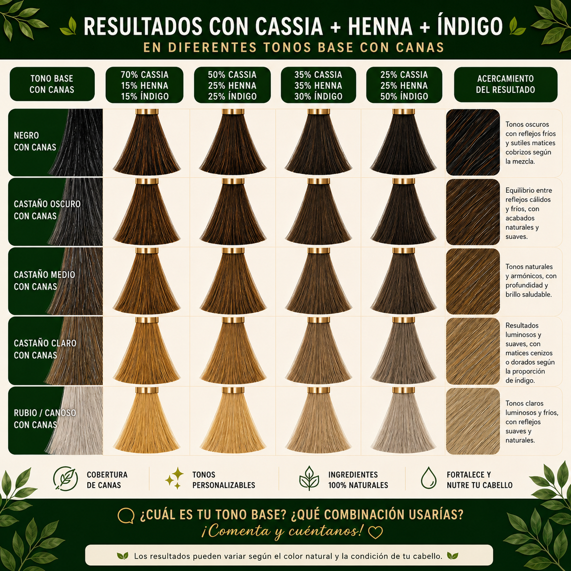 Bundle de Mascarillas - Henna, Cassia & Indigo
